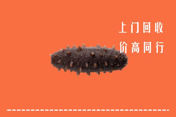 收购行情：滨州博兴县回收海参